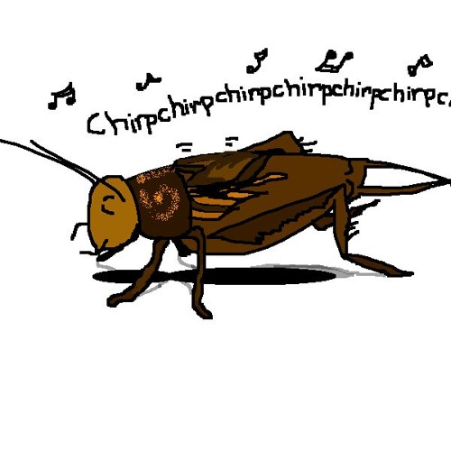 artworks-000172650954-w6oqjv-t500x500